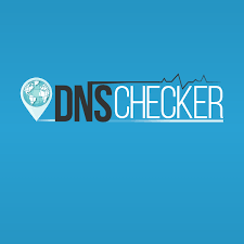 DNS Check